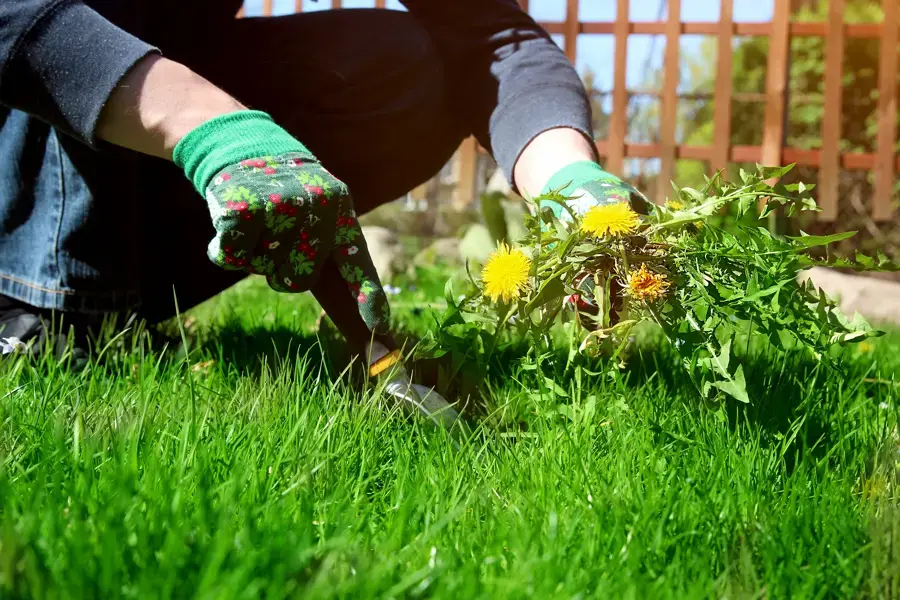 The Importance of Customized Irrigation for Lawn Care in San Antonio, TX