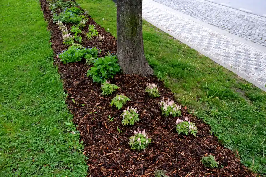 The Importance of Customized Irrigation for Lawn Care in San Antonio, TX