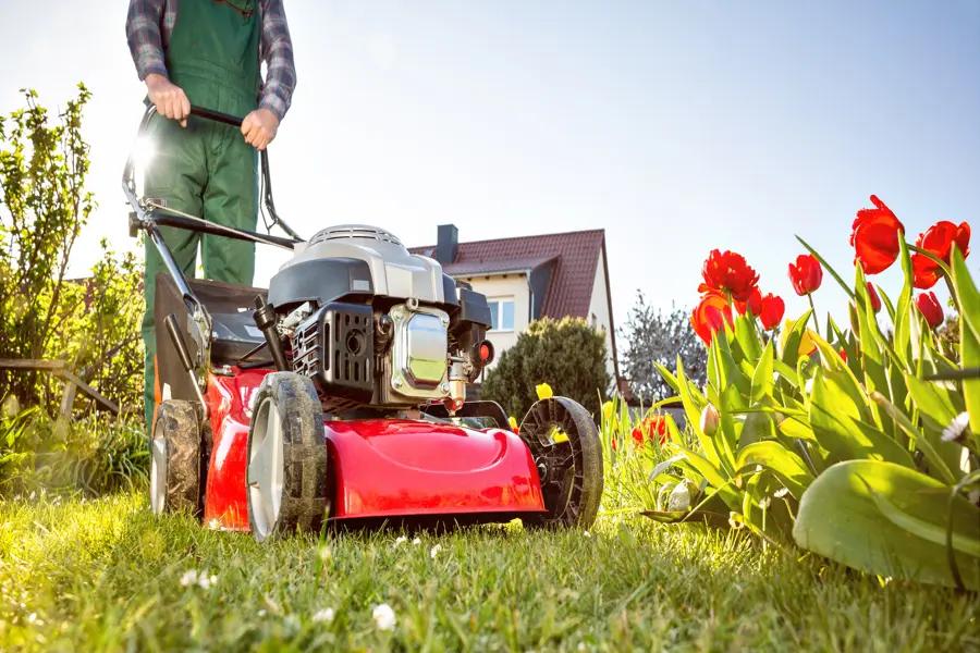 Professional Lawn Mowing The Dominion, San Antonio, TX 78257 Lawn care equipment ready for use on a clean property The Dominion, San Antonio, TX 78257