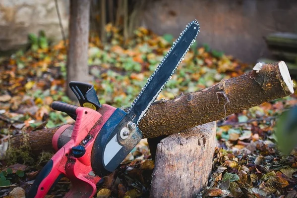 Tree Trimming Service Tips for Storm Season Preparation in San Antonio, TX