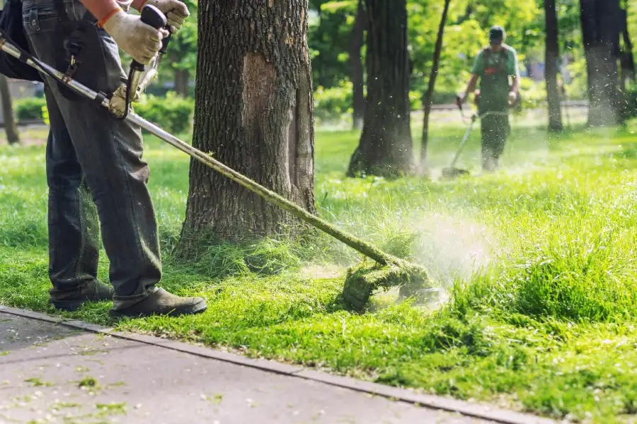 Professional Landscaping Contractor in San Antonio, TX Professional Landscaping Contractor in San Antonio, TX